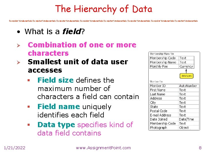 The Hierarchy of Data Computer fundamentals Computer fundamentals • What is a field? Ø