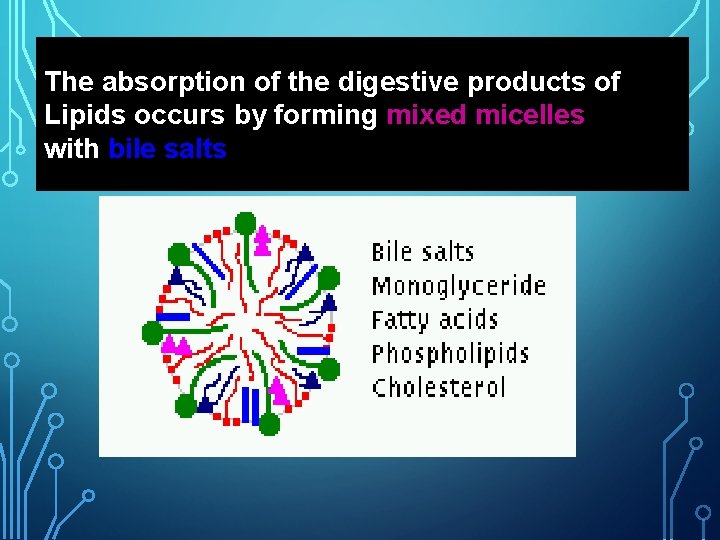 The absorption of the digestive products of Lipids occurs by forming mixed micelles with