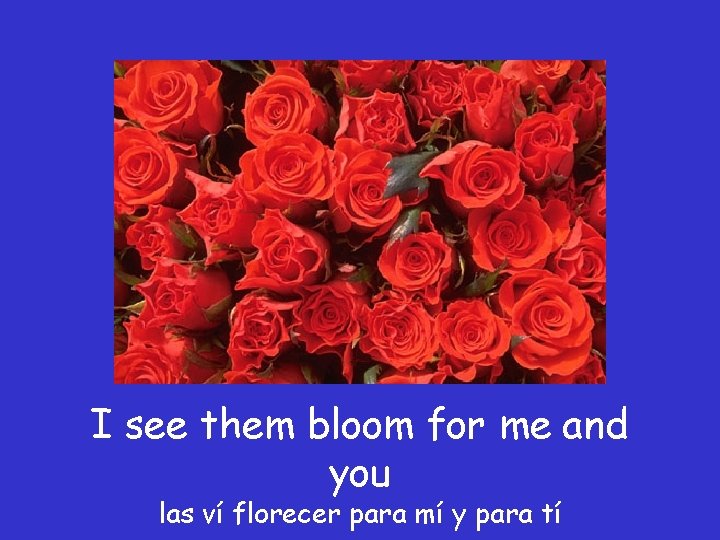 I see them bloom for me and you las ví florecer para mí y