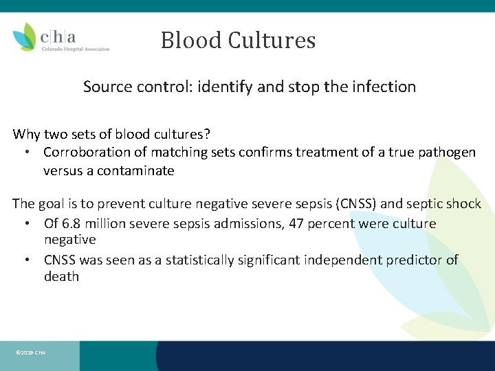 Blood Cultures Source control: identify and stop the infection Why two sets of blood
