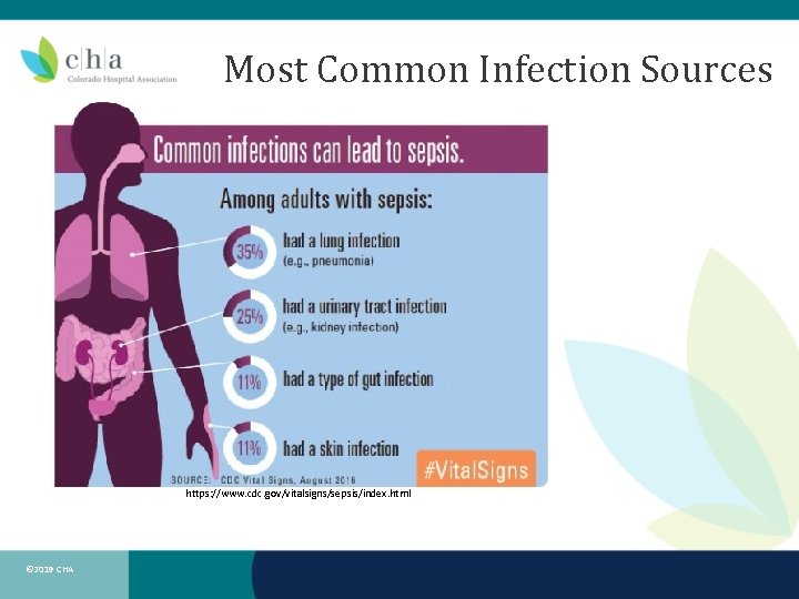 Most Common Infection Sources https: //www. cdc. gov/vitalsigns/sepsis/index. html © 2019 CHA 