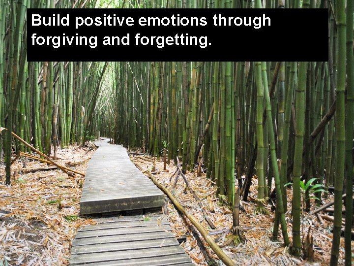 Build positive emotions through forgiving and forgetting. 
