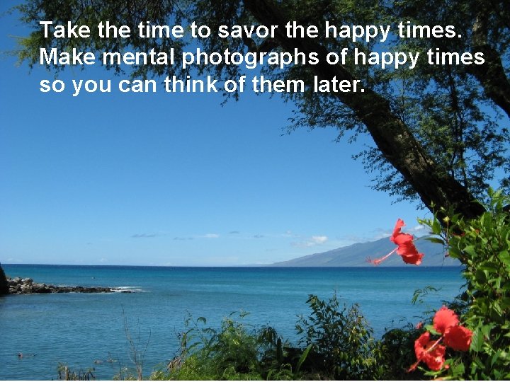 Take the time to savor the happy times. Make mental photographs of happy times