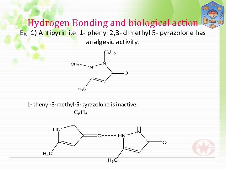 Hydrogen Bonding and biological action Eg. 1) Antipyrin i. e. 1 - phenyl 2,