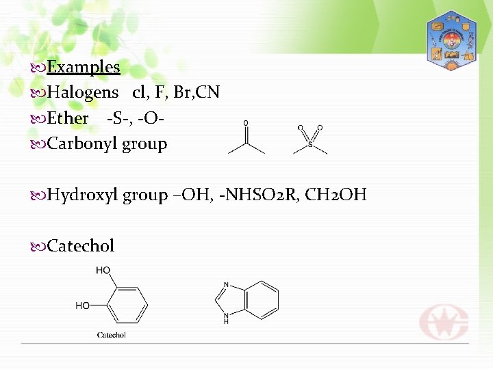  Examples Halogens cl, F, Br, CN Ether -S-, -O Carbonyl group Hydroxyl group