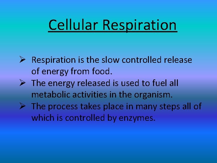 Cellular Respiration Ø Respiration is the slow controlled release of energy from food. Ø