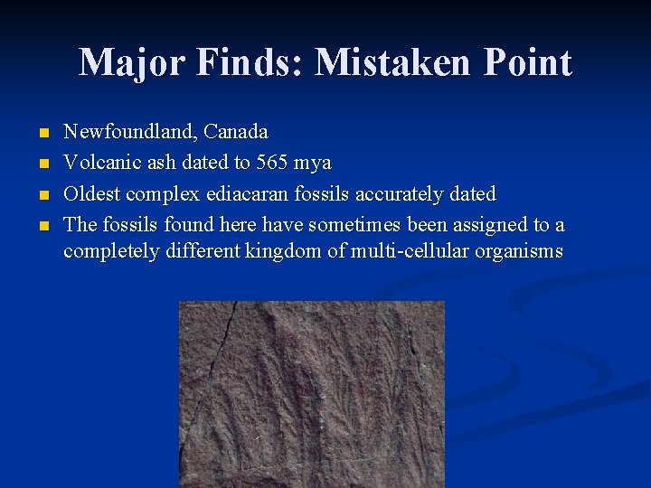 Major Finds: Mistaken Point n n Newfoundland, Canada Volcanic ash dated to 565 mya