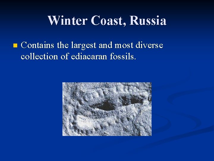 Winter Coast, Russia n Contains the largest and most diverse collection of ediacaran fossils.