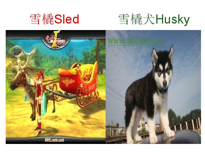 雪橇Sled 雪橇犬Husky 