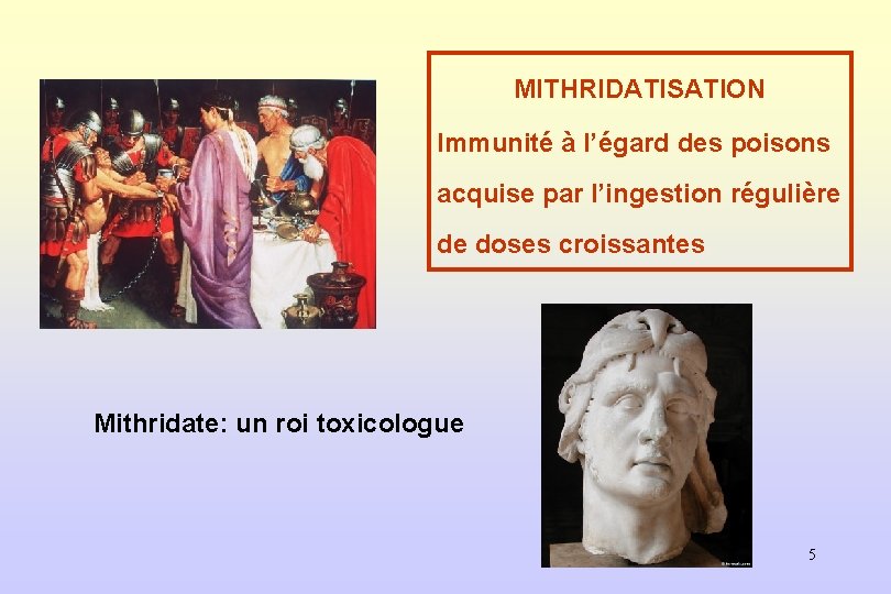 MITHRIDATISATION Immunité à l’égard des poisons acquise par l’ingestion régulière de doses croissantes Mithridate: