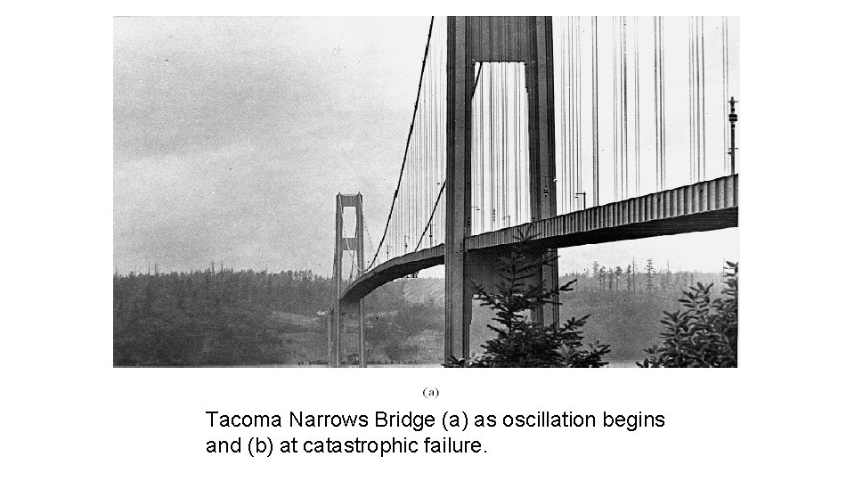 Tacoma Narrows Bridge (a) as oscillation begins and (b) at catastrophic failure. 