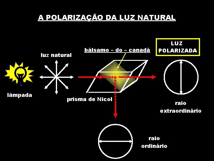 A POLARIZAÇÃO DA LUZ NATURAL luz natural lâmpada bálsamo – do – canadá prisma
