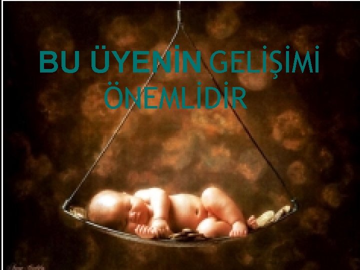 BU ÜYENİN GELİŞİMİ ÖNEMLİDİR 