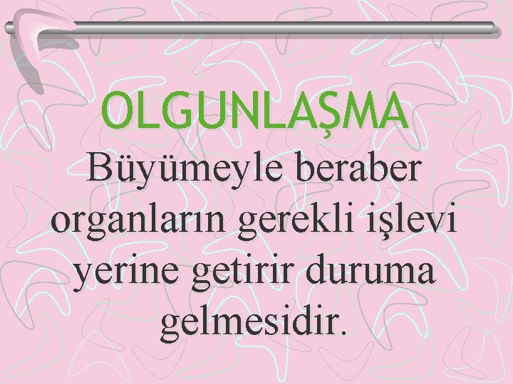 OLGUNLAŞMA Büyümeyle beraber organların gerekli işlevi yerine getirir duruma gelmesidir 