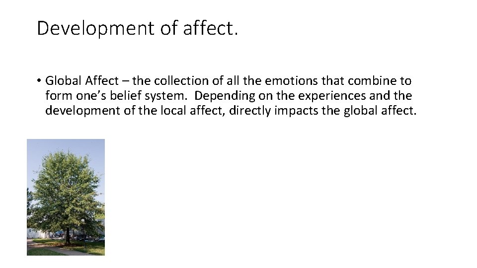 Development of affect. • Global Affect – the collection of all the emotions that