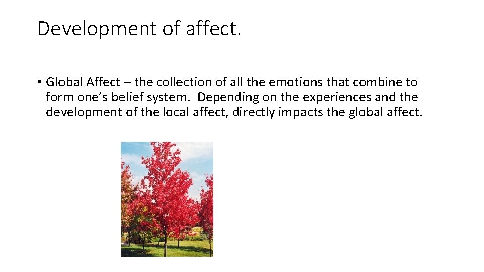 Development of affect. • Global Affect – the collection of all the emotions that