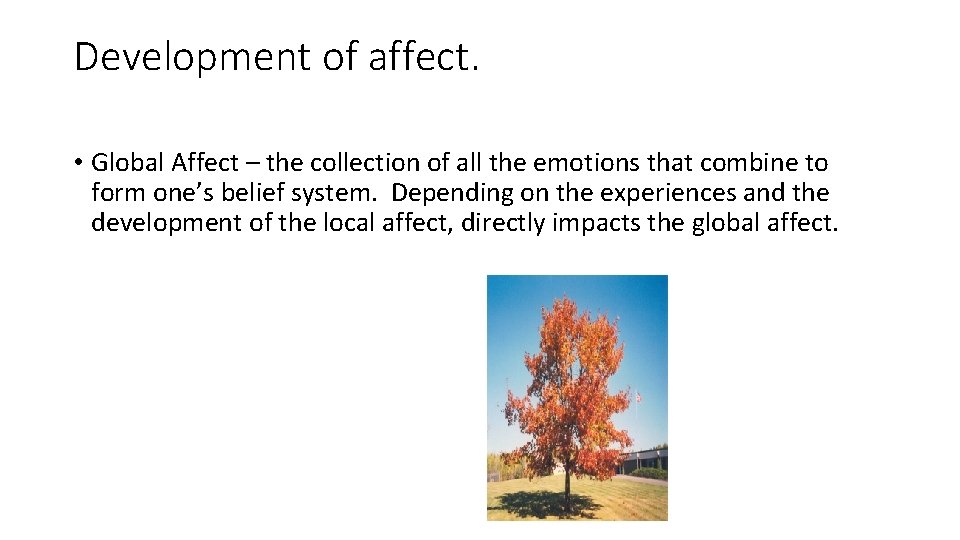 Development of affect. • Global Affect – the collection of all the emotions that