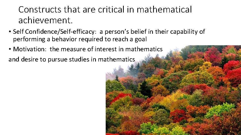 Constructs that are critical in mathematical achievement. • Self Confidence/Self-efficacy: a person’s belief in
