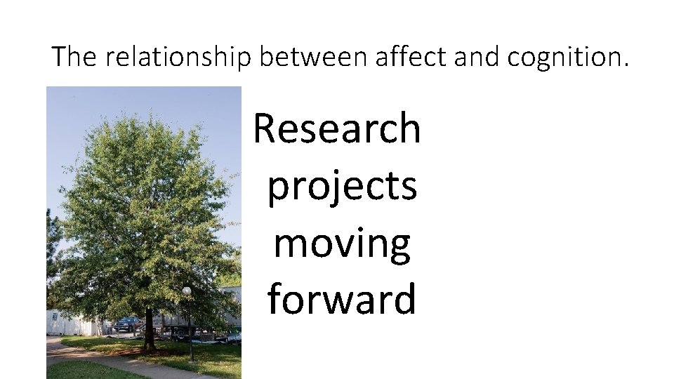The relationship between affect and cognition. Research projects moving forward 
