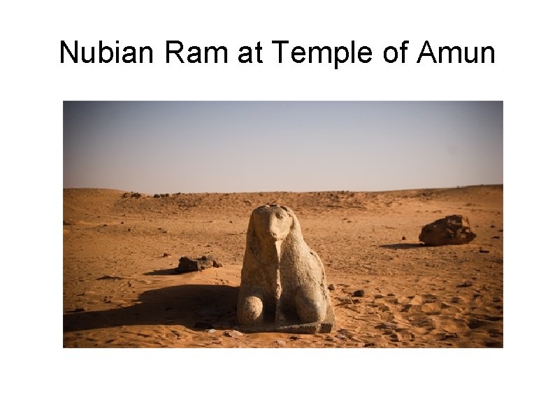 Nubian Ram at Temple of Amun 