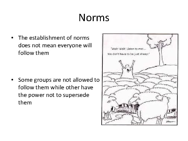 Norms • The establishment of norms does not mean everyone will follow them • Norms • The establishment of norms does not mean everyone will follow them •
