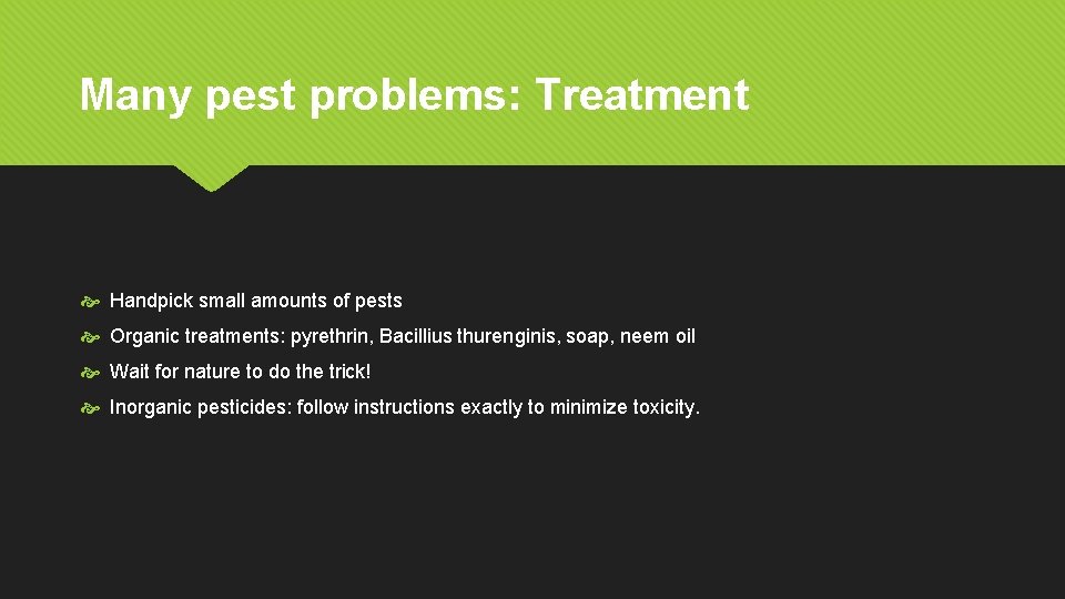 Many pest problems: Treatment Handpick small amounts of pests Organic treatments: pyrethrin, Bacillius thurenginis,