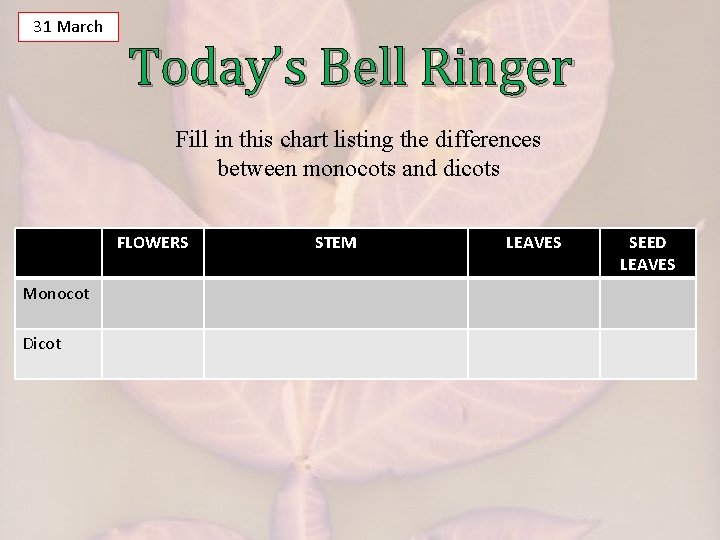 31 March Today’s Bell Ringer Fill in this chart listing the differences between monocots