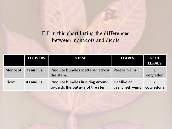Fill in this chart listing the differences between monocots and dicots FLOWERS STEM LEAVES