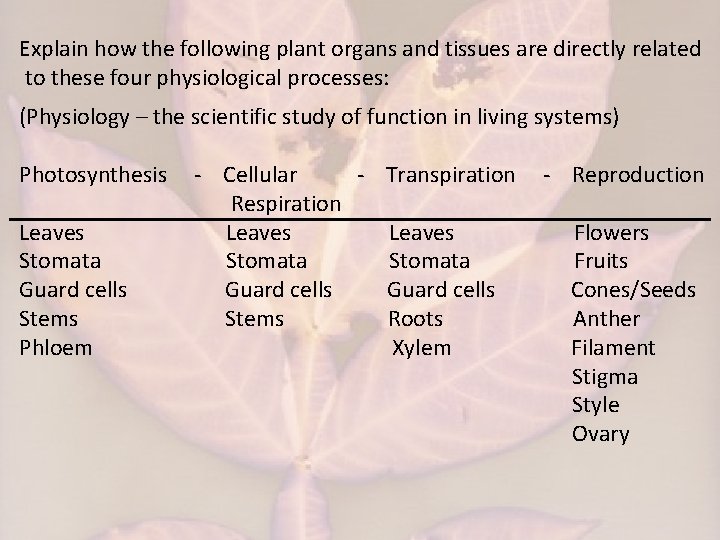 Explain how the following plant organs and tissues are directly related to these four
