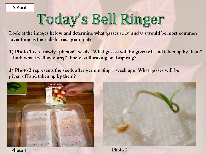 5 April Today’s Bell Ringer Look at the images below and determine what gasses