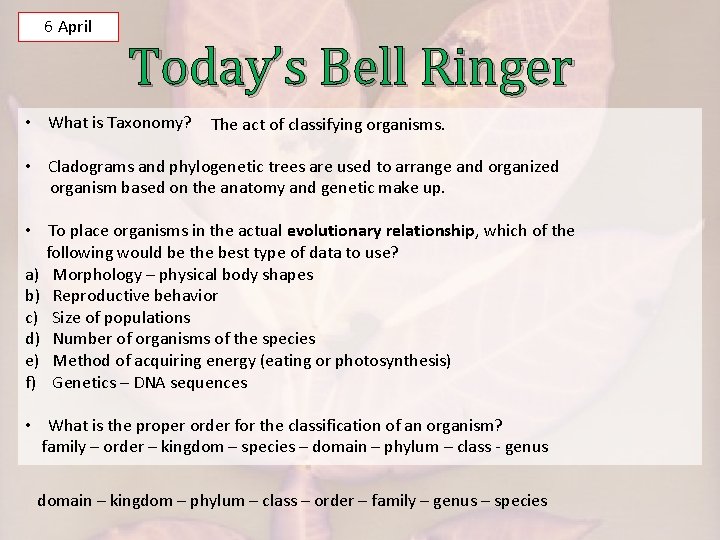 6 April Today’s Bell Ringer • What is Taxonomy? The act of classifying organisms.