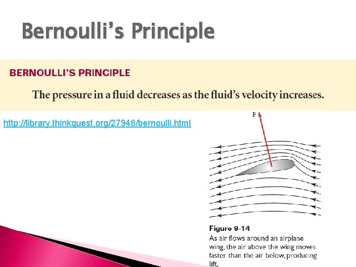 Bernoulli’s Principle http: //library. thinkquest. org/27948/bernoulli. html 