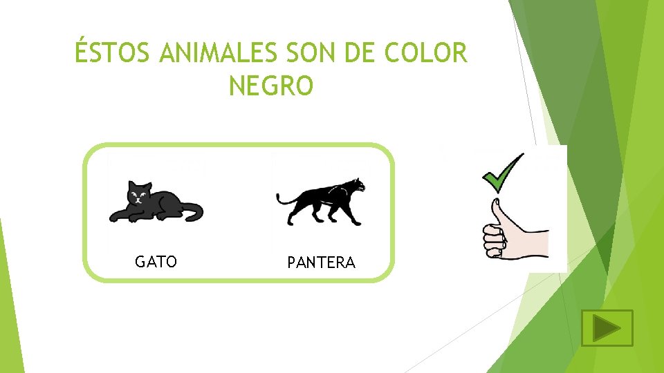 ÉSTOS ANIMALES SON DE COLOR NEGRO GATO PANTERA 