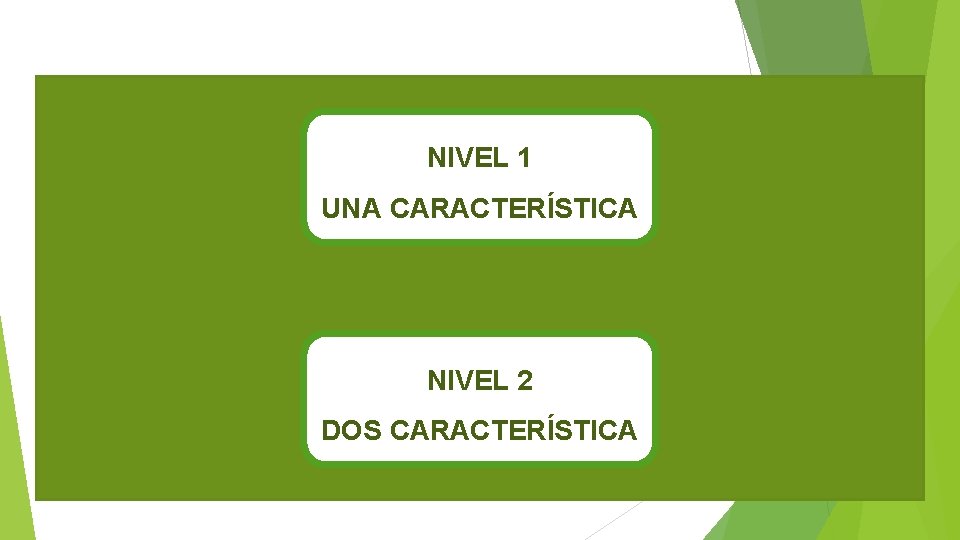 NIVEL 1 UNA CARACTERÍSTICA NIVEL 2 DOS CARACTERÍSTICA 