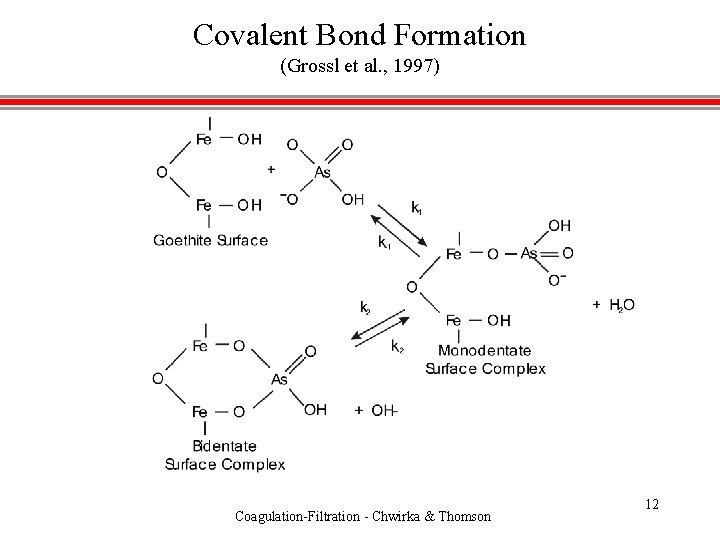 Covalent Bond Formation (Grossl et al. , 1997) Coagulation-Filtration - Chwirka & Thomson 12