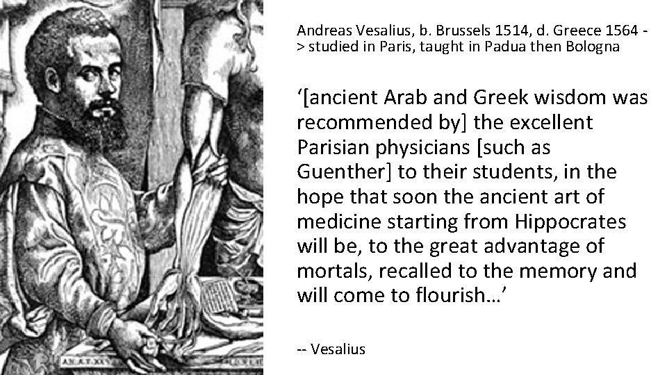 Andreas Vesalius, b. Brussels 1514, d. Greece 1564 > studied in Paris, taught in