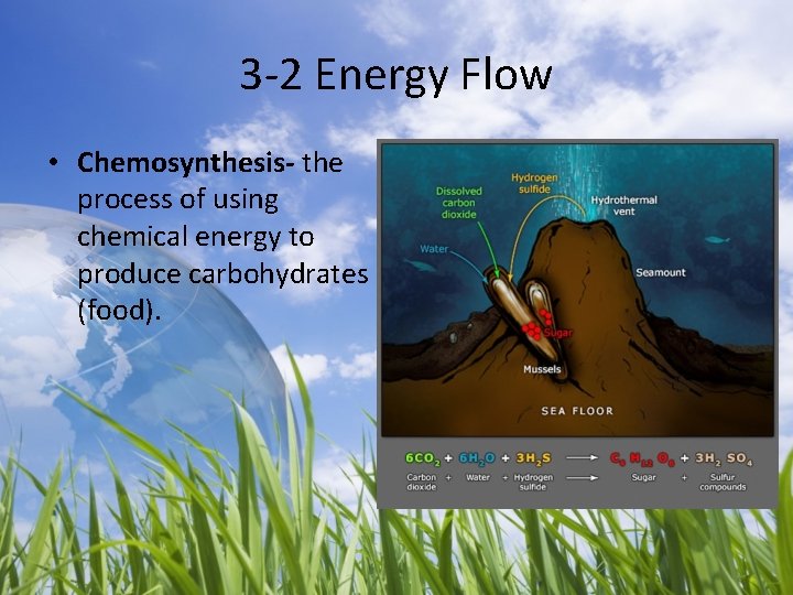 3 -2 Energy Flow • Chemosynthesis- the process of using chemical energy to produce