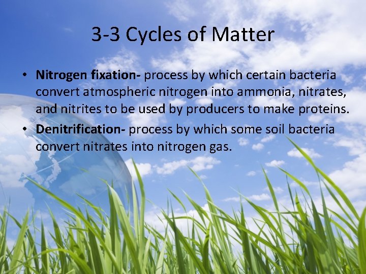 3 -3 Cycles of Matter • Nitrogen fixation- process by which certain bacteria convert