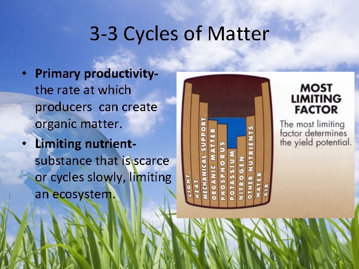 3 -3 Cycles of Matter • Primary productivitythe rate at which producers can create