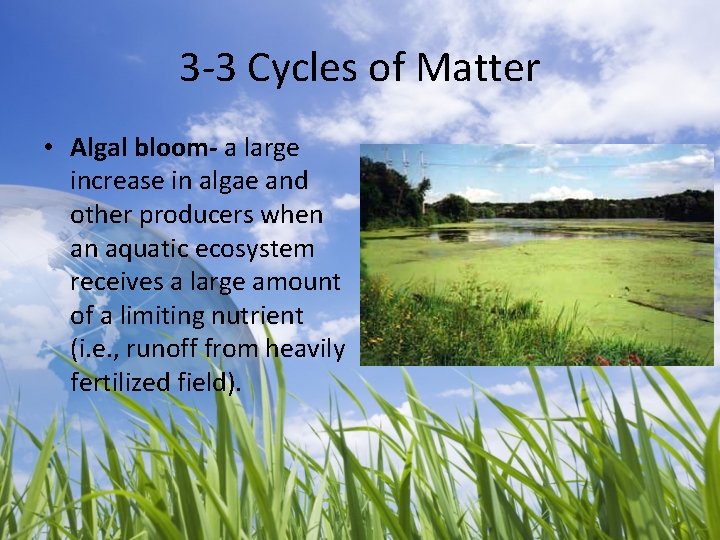 3 -3 Cycles of Matter • Algal bloom- a large increase in algae and