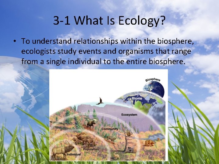3 -1 What Is Ecology? • To understand relationships within the biosphere, ecologists study