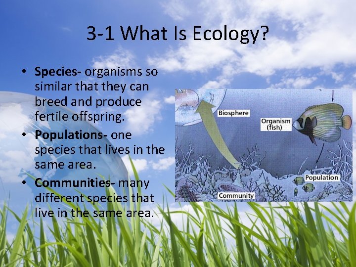 3 -1 What Is Ecology? • Species- organisms so similar that they can breed