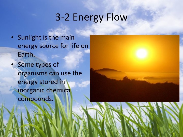 3 -2 Energy Flow • Sunlight is the main energy source for life on