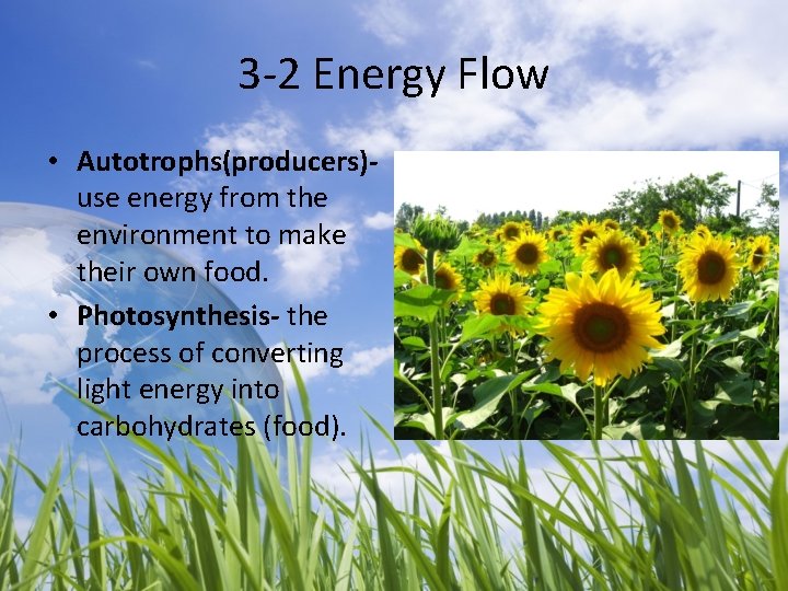 3 -2 Energy Flow • Autotrophs(producers)use energy from the environment to make their own