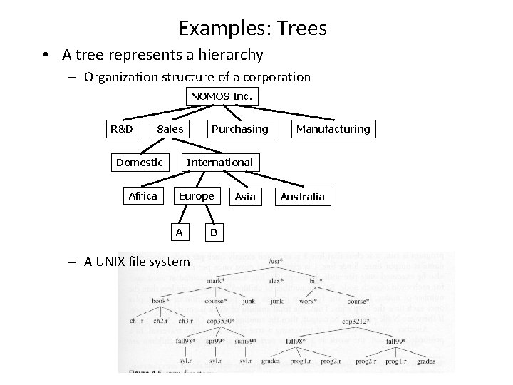 Examples: Trees • A tree represents a hierarchy – Organization structure of a corporation