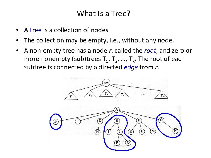 What Is a Tree? • A tree is a collection of nodes. • The