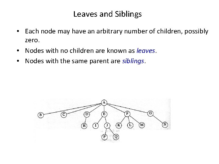 Leaves and Siblings • Each node may have an arbitrary number of children, possibly