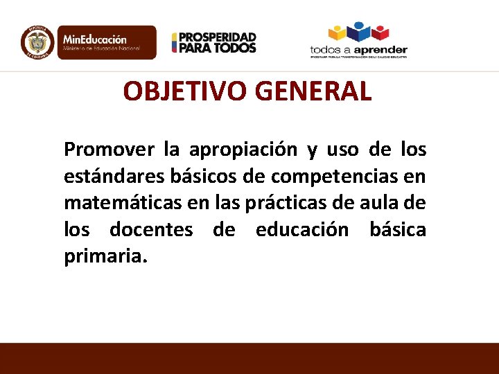 OBJETIVO GENERAL Promover la apropiación y uso de los estándares básicos de competencias en