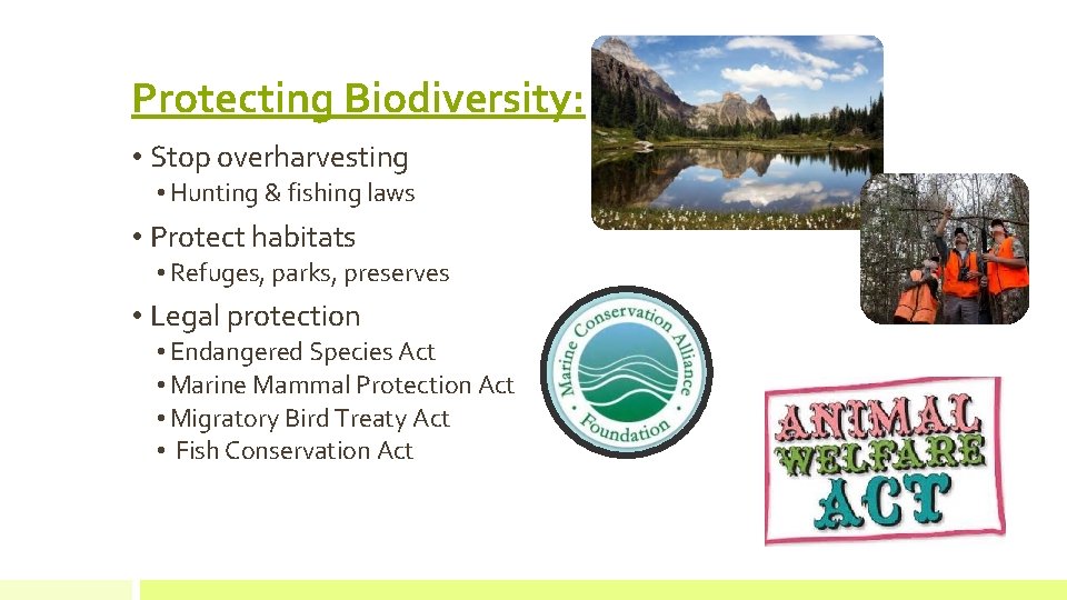 Protecting Biodiversity: • Stop overharvesting • Hunting & fishing laws • Protect habitats •