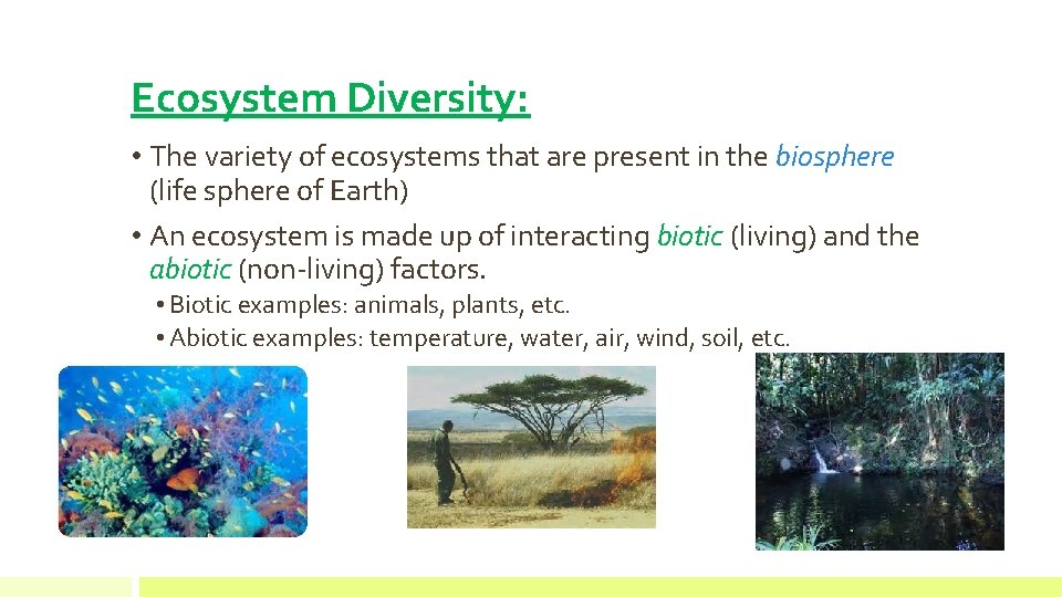Ecosystem Diversity: • The variety of ecosystems that are present in the biosphere (life